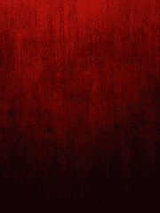 하루하라 사이카