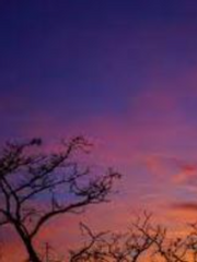 너와 나의 클리셰