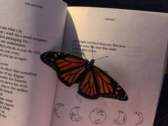 글을 읽기전에 먼저 꼭 읽어주세요♡