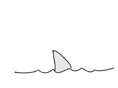 수면 위 지느러미