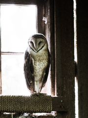 [       ]의 편지가 도착했습니다.