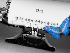 면사포 속에서 나비는 아름다웠다.