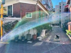 무지개와 고양이