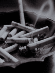 여전히 사랑하는 당신께