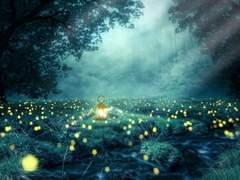 양몽커 프로필 | 아벨