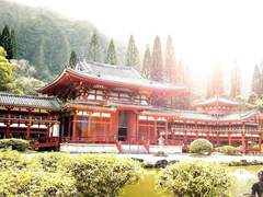 (닌자고) 고요한 밤의 위로