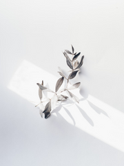 전지적 ㅁ급 시점 (完)