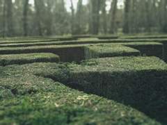 일호의 순수를 위하여 08 완결