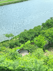 판사님! 저는 아무것도 몰라요!