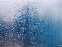 비가 오는 날에