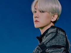 개차반 센티넬 변백현 上