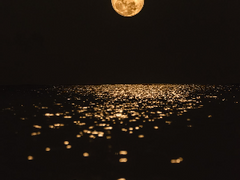 사랑의 또다른 이름 (完)