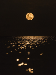 사랑의 또다른 이름