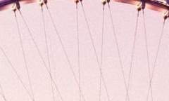 천우연 / XX / 뮤지컬부