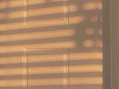 당신을 사랑하는 나에게 II