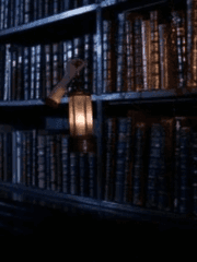 리명시의 공부자료