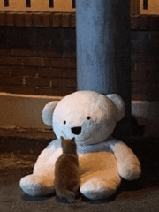 1st chapter of our diary