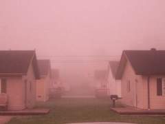 Ricky Shilton / 38 / XY / 인간