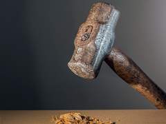 라경장님은 인간인가요?