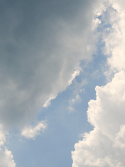 우정으로 가린 사랑