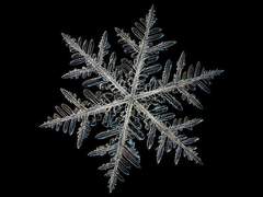 은설 같은 마음