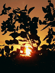 [9.z] 미완성 드림 장편