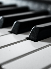 피아노 위의 호랑이