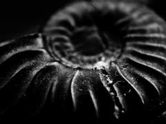 과거의 흔적은 최고죠