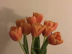 [히나른]너의 네임은