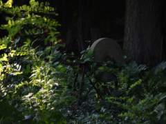 부서진 메모리지만