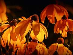 아무일도 없었는데용