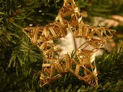 별을 보고싶어요.