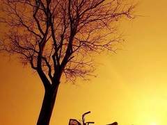 오늘도 기다리다.