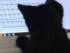 두 손 쥐어 잡고 저 들뜬 섬에 가 살까