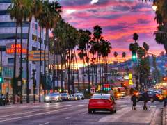 미국 LA에서 느낀 여유로움!