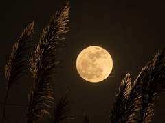 #자캐의_사랑해_그러니까________다음에_올_말