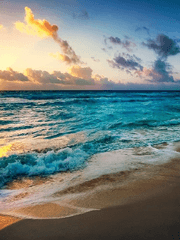 행복은 파도처럼 넘실댄다