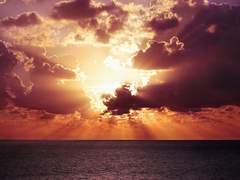 곧 아침이 밝아올 거야.