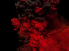 코드네임 브룸힐다 中