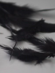 대공의 구애일지