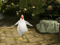 [심즈 4 플레이일지] 100. Chicken Farming