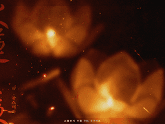 화연지야(火蓮之夜)