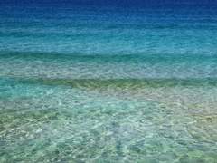 [백합망무합작] 뜬금없지만~