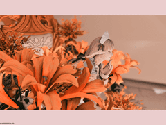 짱친냑자 구하기 74981일 째