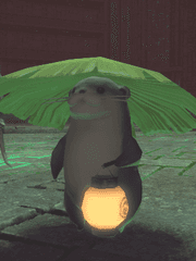 파판14 룩 정리_여캐편