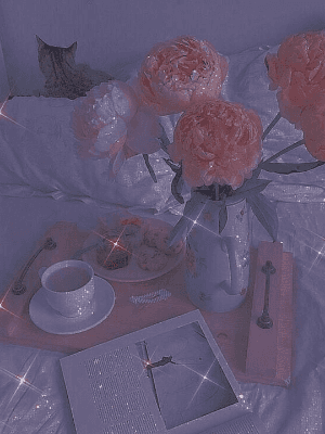 [청려문대] 설표티벳 - 1