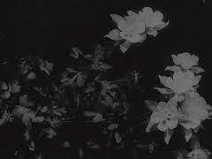 흑과 백의 앙상블