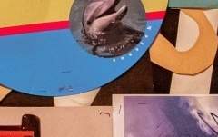 한여름 태양같은 난