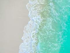 [뱀슨인옷] 환생해도 이 바다에서 00