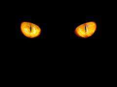 너를 바라보는 붉은 눈